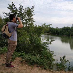 3 spots pour observer les oiseaux dans le Médoc