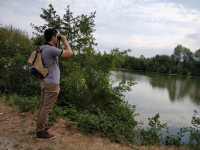 Observez les oiseaux en pleine nature