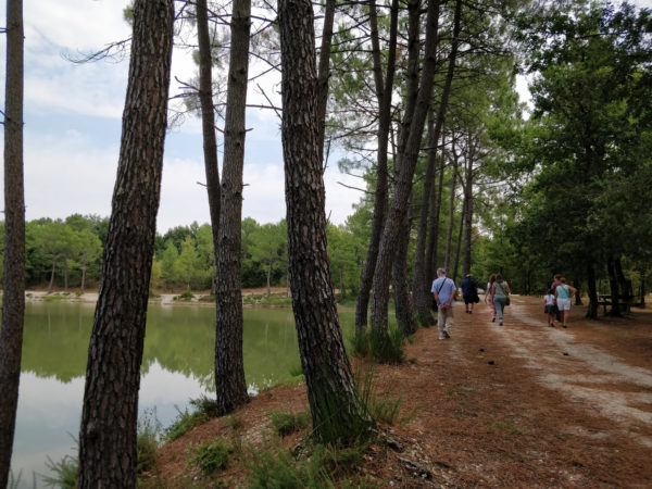 Etang de Bronturon