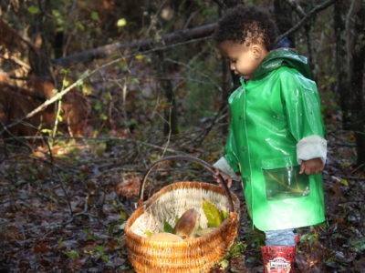 L’automne dans le Médoc : 5 choses à faire en famille