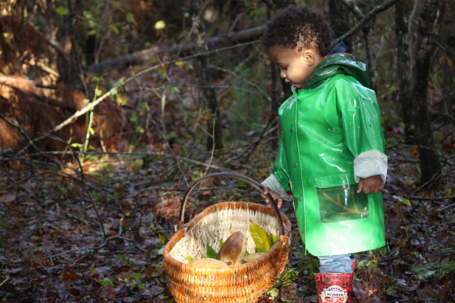 L&rsquo;automne dans le Médoc : 5 choses à faire en famille