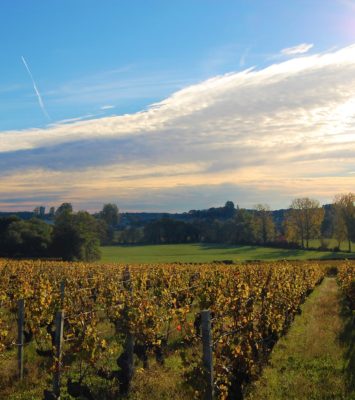 Tous les hébergements dans les vignes du Médoc