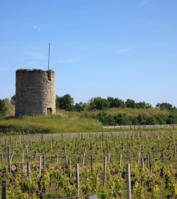 Domaines viticoles AOC Haut-Médoc