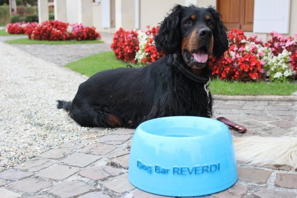 dogbar château reverdi