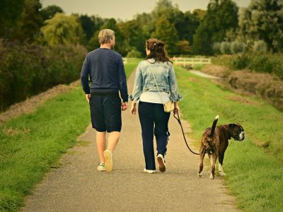 Les meilleures sorties à faire avec son chien dans le Médoc