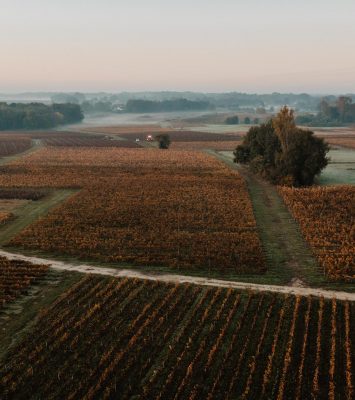 Tous nos domaines du Médoc