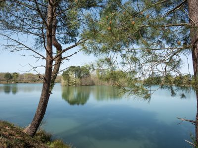 Les 5 bonnes raisons de venir à Médoc plein Sud