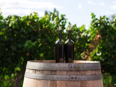 Les vins médaillés de Médoc plein Sud