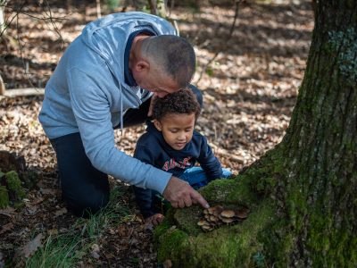 Vacances de printemps dans le Médoc : guide des activités