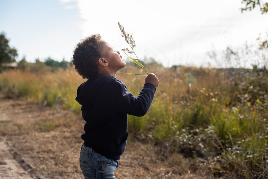 Vacances de printemps dans le Médoc : guide des activités