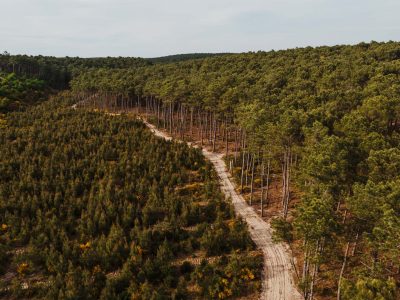 Les bonnes pratiques quand on se balade en forêt