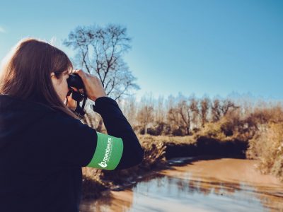 Les zones humides au fil des saisons