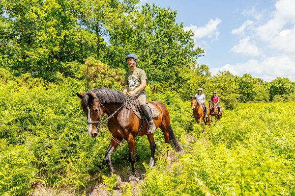 Balade à cheval en forêt du Porge