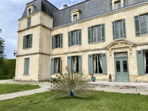 Chateau de la marquise et paons devant