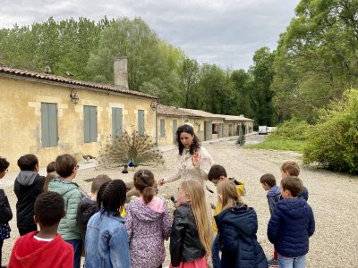 Visite familiale d’un château viticole dans le Médoc