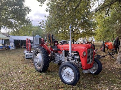 La Fête du Terroir de Salaunes