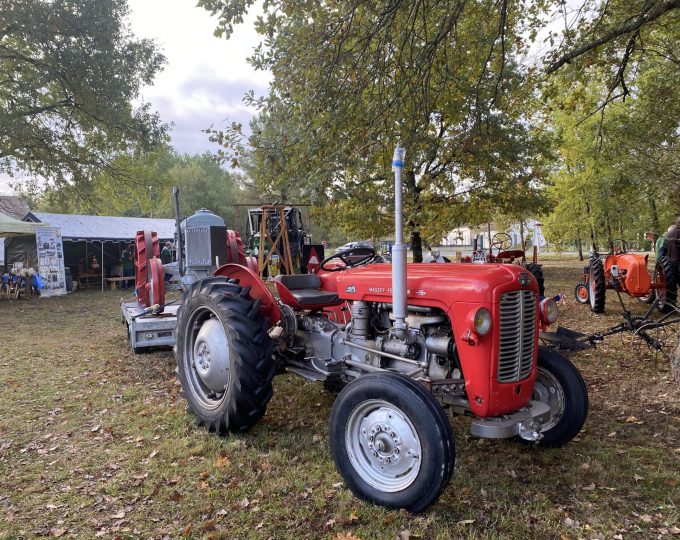 La Fête du Terroir de Salaunes