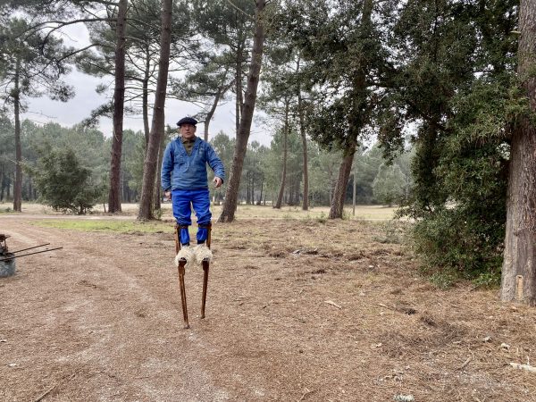 Homme sur des échasses traditionnelles en forêt