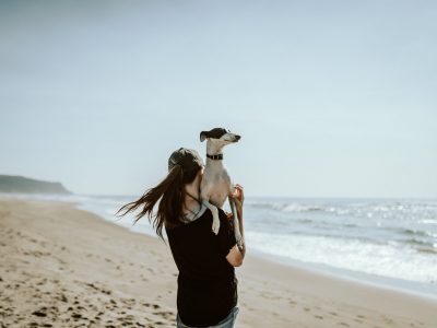 Une journée dans le Médoc avec son chien