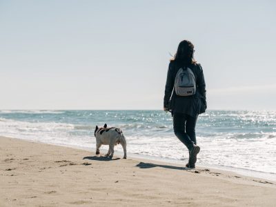 Les meilleures sorties à faire avec son chien dans le Médoc