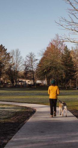 Nos idées balades dans le Médoc en hiver