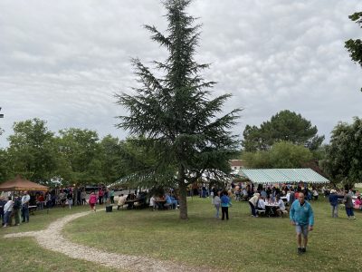Les marchés nocturnes gourmands dans le Médoc