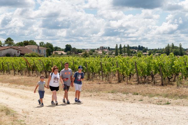 une famille de 4 avec deux enfants marchant dans les vignes