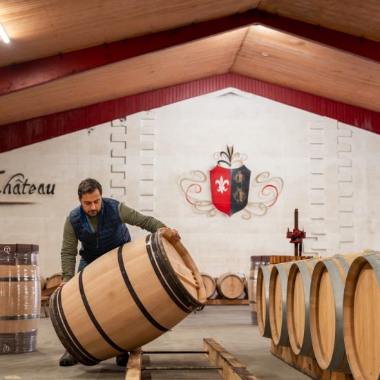 Châteaux viticoles dans le Médoc