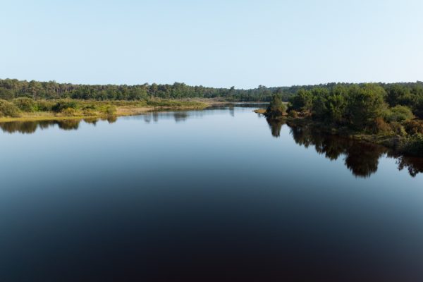 vue drone de l'étang de langouarde au printemps