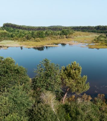 Parc naturel régional Médoc