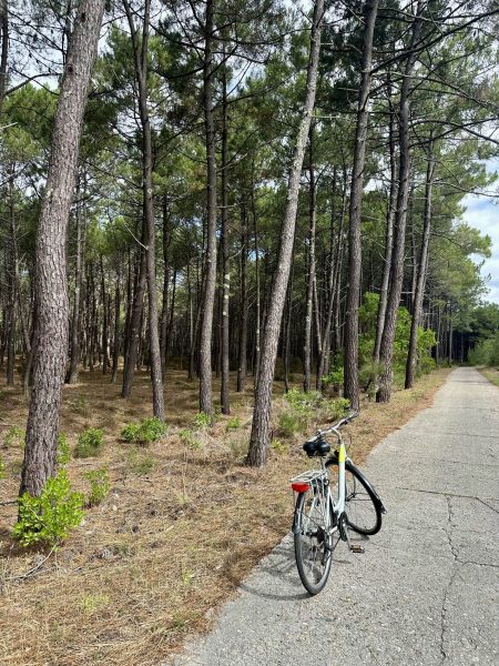 Vélo Fun Bike posé sur la piste cyclable de la Vélodyssée, entouré de pins et sous un ciel bleu