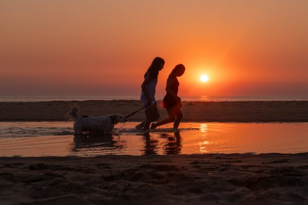 2 personnes de profil en train de promener leur chien face au coucher du soleil du porge océan