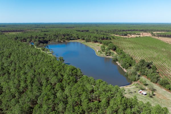 vue drone étang de la Levade à Sainte-Hélène