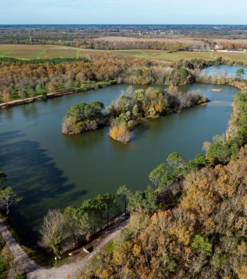 Consultation refonte site web 2026