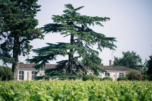 Facade du château Poujeaux