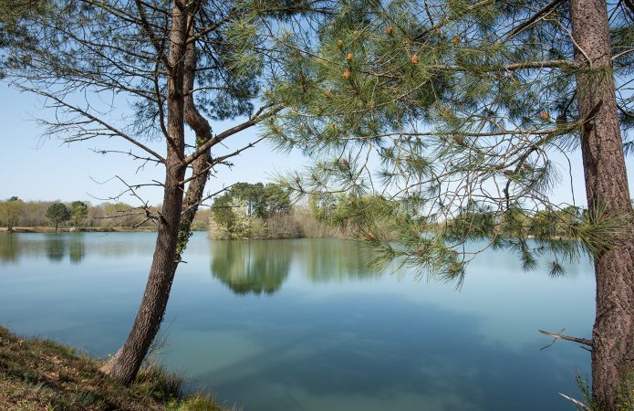 Etang de Bronturon