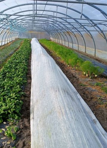 La Ferme des Equinoxes