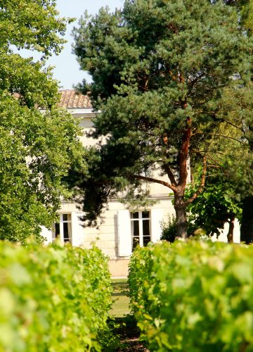 Château Baudan