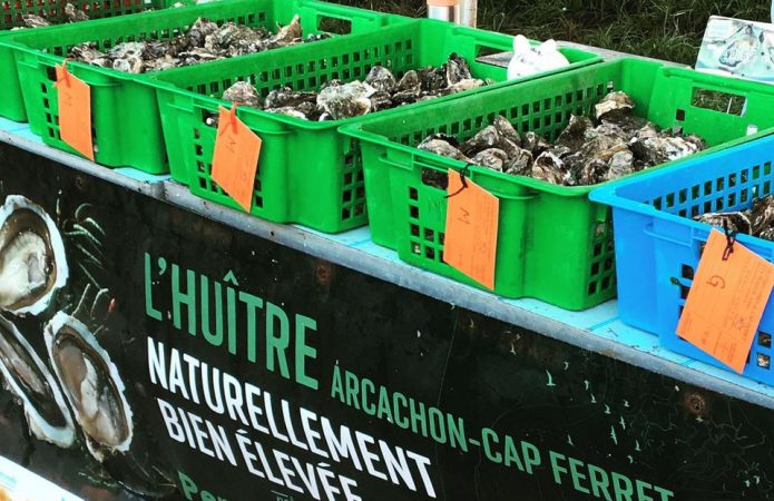 Chez TT Le Porge huitres Adrien Perron