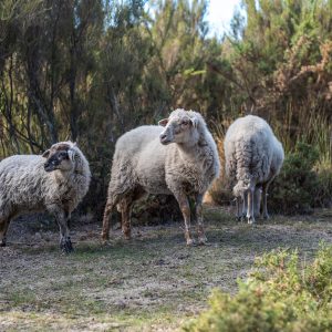 5 escapades nature à deux pas de chez vous