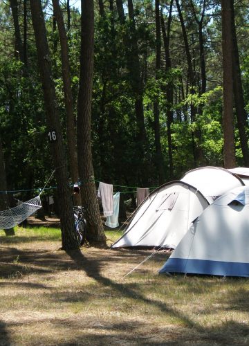 Aire naturelle de camping Les Prés du Pas du Mas