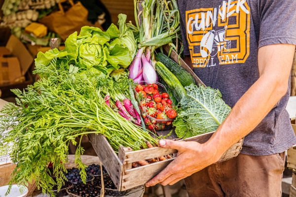 Le carnet des producteurs en Médoc