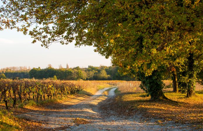 Château Dutruch Grand Poujeaux