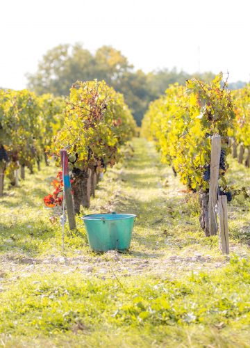 Château Dutruch Grand Poujeaux