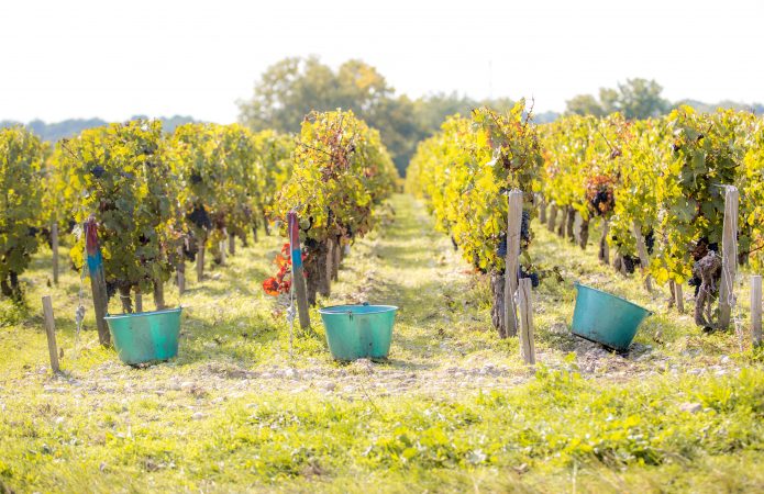 Château Dutruch Grand Poujeaux