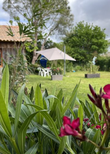 La petite cabane bleue planquée dans la prairie