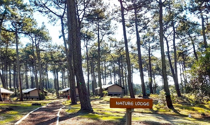 La Grigne – Camping Le Porge Océan (4)