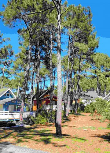 Domaine résidentiel naturiste La Jenny