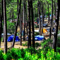 4 campings pour séjourner sur la Côte Atlantique