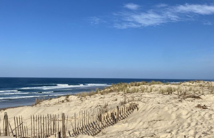 Slowia Camille Brodin